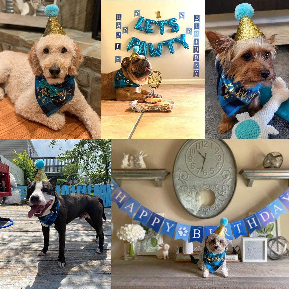 Dog Birthday Celebration Kit - First Birthday Bandana, Hat, and Banner for Small to Medium Dogs (Blue)