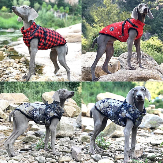 Premium Waterproof Dog Jacket with Built-in Harness - Winter Coat for Large Breeds Including Labrador, Chihuahua, and French Bulldog